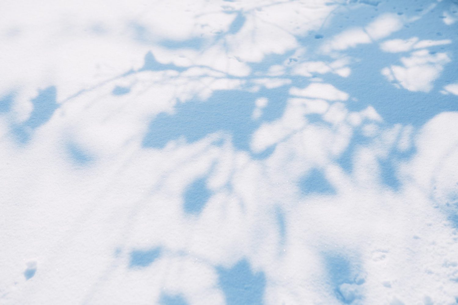 「SNOW MOUNTAIN」<br> 雪山の魅力。</br>